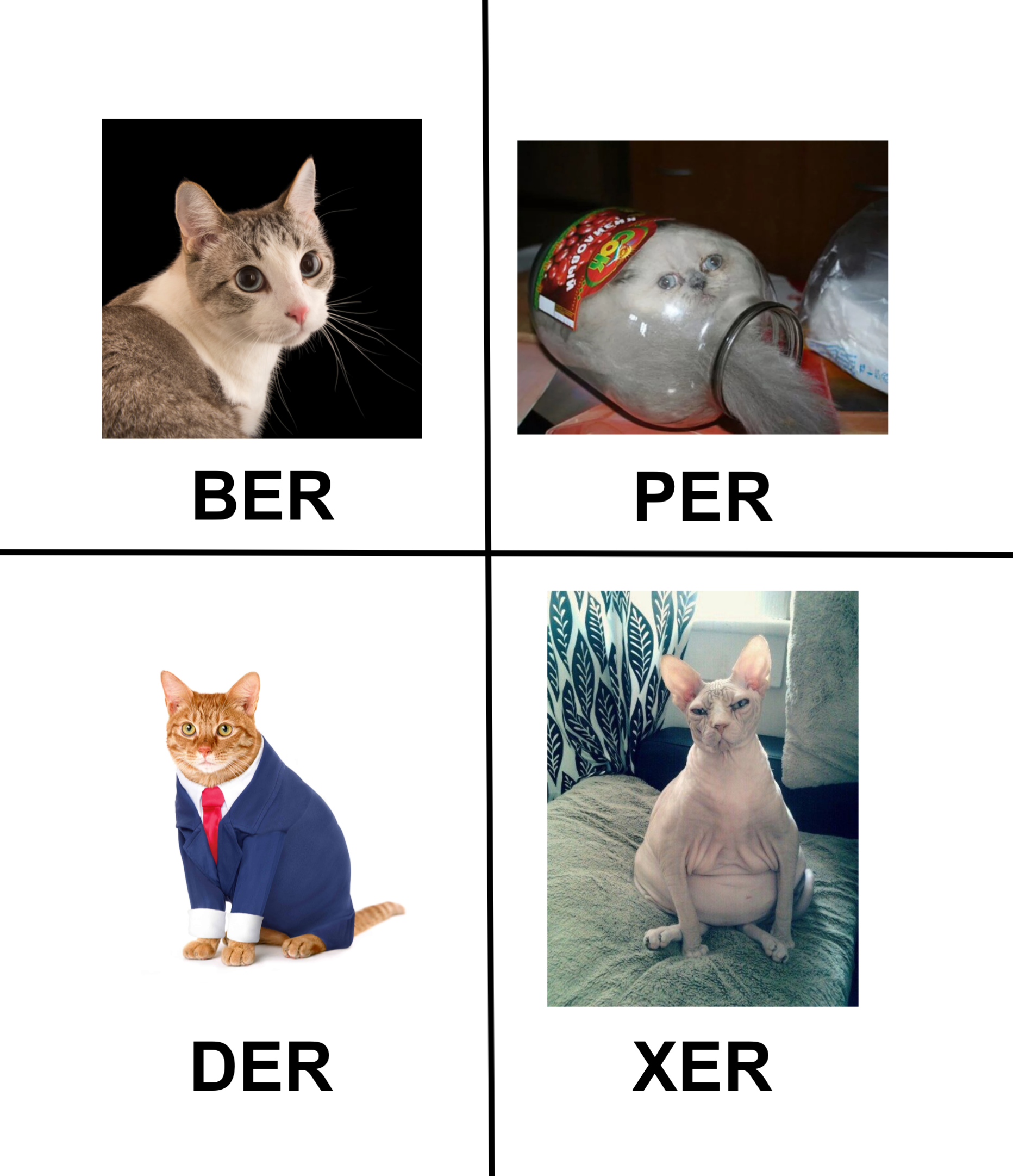 A helpful visual explanation of ASN.1’s different encoding rules